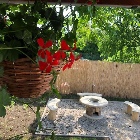 Mormota Vendeghaz Lägenhet Mezőkövesd Exteriör bild